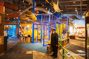 Ripley's Believe It or Not!