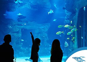 伊斯坦布尔水族馆和水下动物园