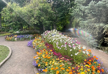 阿克雷里植物园第 10 张图片