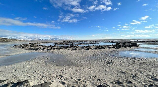 Spiral Jetty