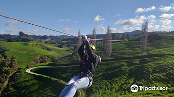 Waitomo Caves Zipline Park
