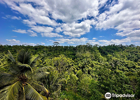 Segara Windhu Coffee Plantation