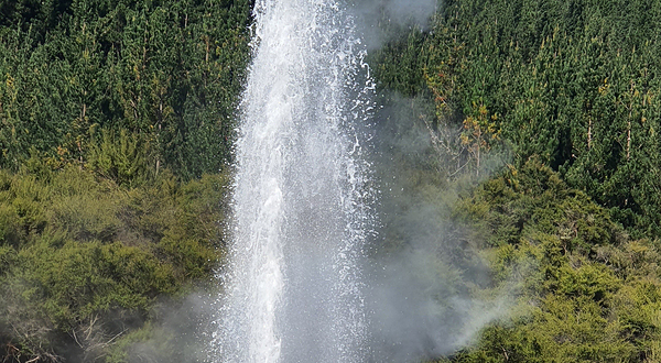 Lady Knox Geyser