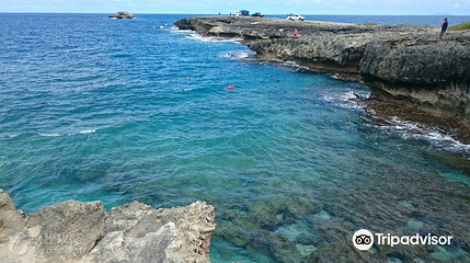 Lāʻie Point State Wayside第 8 张图片