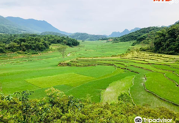 Pu Luong Nature Reserve第 3 张图片