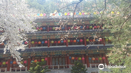 救仁寺第 8 张图片