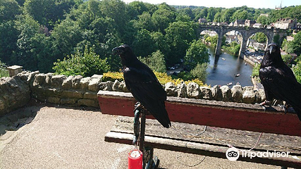 Knaresborough Castle第 12 张图片