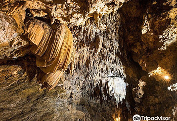 Cave Okinawa第 3 张图片
