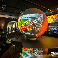 德国足球博物馆