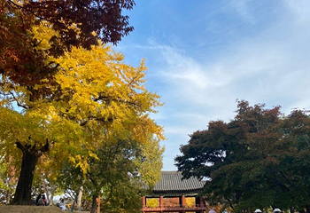 晋州城第 6 张图片