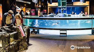 Greater Cleveland Aquarium