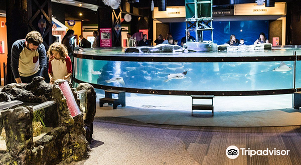 Greater Cleveland Aquarium