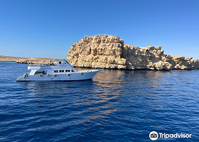 Red Sea Diving College