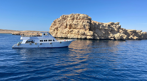 Red Sea Diving College