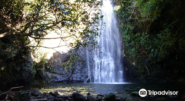 普哈图企鹅栖息地