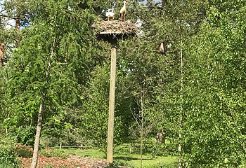 Bird park Villars les Dombes第 9 张图片
