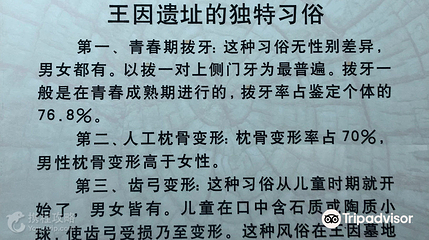 兖州博物馆第 2 张图片