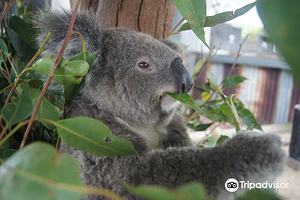 猎人谷野生动物园