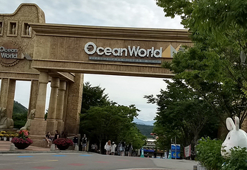 大明维瓦尔第公园Ocean World第 17 张图片