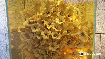 Korean Ginseng Museum