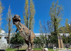 Acquario di Cattolica