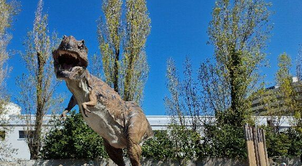Acquario di Cattolica