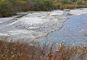 岳沢湿原第 18 张图片