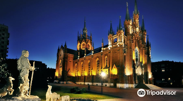 圣母无原罪主教座堂