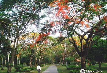 Ramna Park第 6 张图片