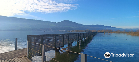 Wooden Bridge from Rapperswil to Hurden