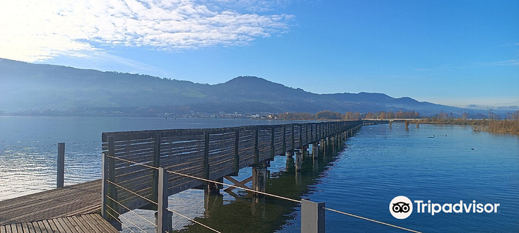 Wooden Bridge from Rapperswil to Hurden