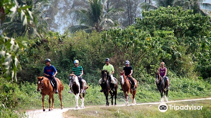 Countryside Stables Penang第 1 张图片