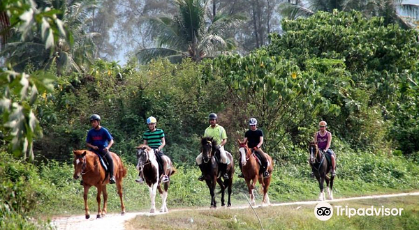 Countryside Stables Penang