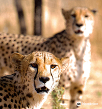 Naankuse Wildlife Sanctuary