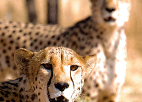 Naankuse Wildlife Sanctuary