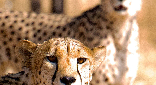 Naankuse Wildlife Sanctuary