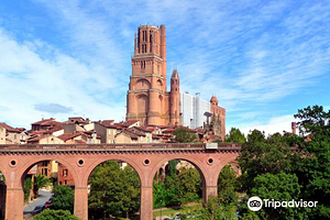 阿尔比主教座堂