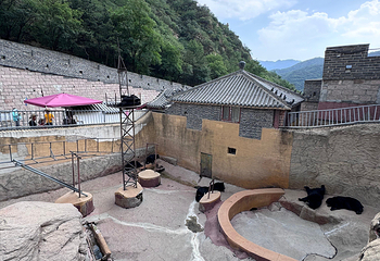 八达岭长城第 355 张图片