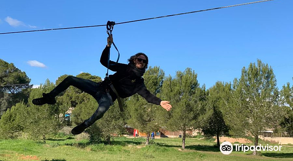 TirolinasGo Mallorca Forestal Park