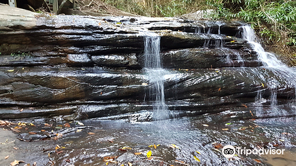 阳光海岸第 56 张图片