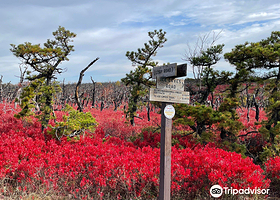 Sam's Point Preserve