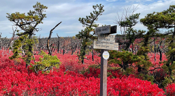 Sam's Point Preserve