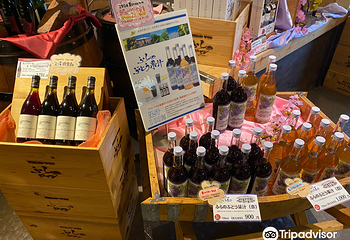 富良野葡萄酒厂第 10 张图片