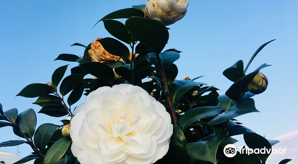 台大凤凰自然教育园区