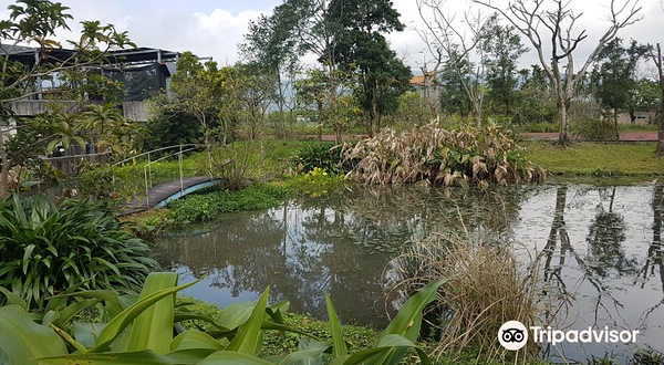 胜洋水草休闲农场