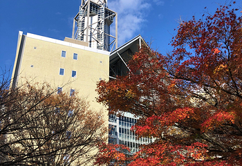 富山市役所展望塔第 9 张图片
