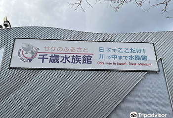 千岁水族馆第 24 张图片