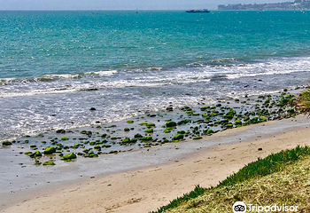 Butterfly Beach第 4 张图片