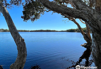 Lake Ainsworth第 1 张图片