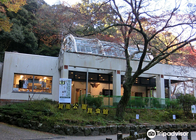 箕面公園昆虫館